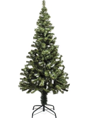 Empressco Yeşil 60 cm Kabarık Dal Çam Ağacı, Yılbaşı Dekoru Için Mükemmel Seçim