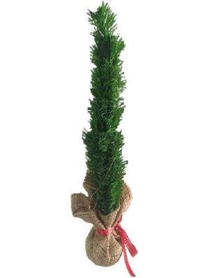 Empressco 30 cm Yeşil Çam Ağacı, Masa Üstü Dekorasyon, Canlı ve Şık Tasarım