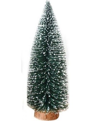 Empressco Canlı Yeşil Mini Çam Dekoratif Bitki, Doğal ve Şık Ev Dekorasyonu Için Mükemmel Seçim.