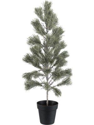 Empressco Canlı Yeşil Çam Ağacı, Dekoratif ve Doğal Görünüm