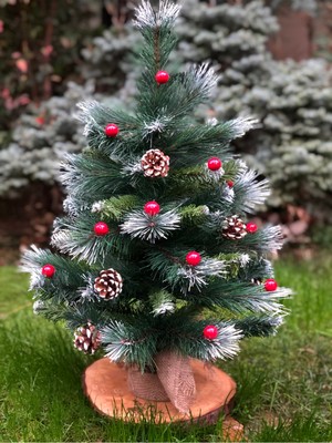 Empressco Yeşil Ledli Çam Ağacı, Kozalaklı, Kokulu, Kar Efektli, 64 cm