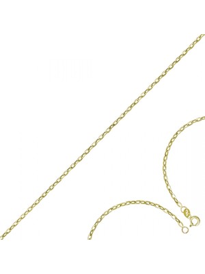 Altın Zincir T076499