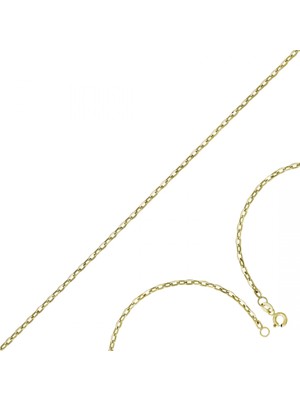 Altın Zincir T076533