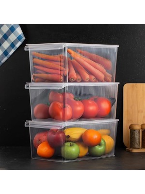 CetKing 3185 3 Adet Kapaklı Dolap Içi ve Buzdolabı Içi Düzenleyici Banyo Mutfak Organizeri 8 Litre