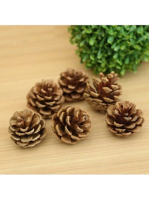 Empressco Doğal Kozalak Seti, Boyasız, Kahverengi, 10'lu, Ev Dekorasyonu Için Şık Seçenek