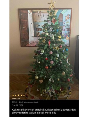 Empressco Yılbaşı Çam Ağacı 210 Cm, 750 Dal, Yeşil, Şık ve Doğal Görünüm