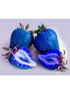 CetKing Look 10 15 Adet Mavi Çilek Tohumu TH-2022DSHNGLKTHM158