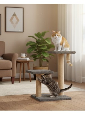 Reyo Pet Çift Stepli Kedi Tırmalama Antrasit