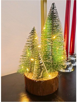 Empressco 4'lü Büyük Meşe ve Çam Ağaçları Seti, LED Işıklı, 22 Cm, Yeşil Renk