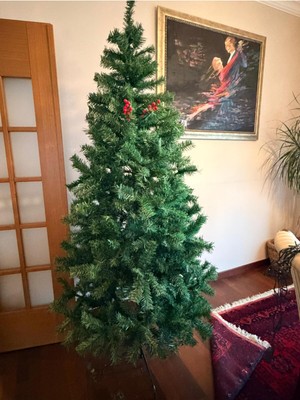 Empressco 210CM Yeşil Yılbaşı Çam Ağacı, 970 Dallı, Şık ve Doğal Görünüm.