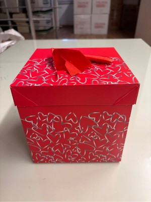 Muka Lüks Karton Hediye Kutusu 15X15CM 1 Adet Dıy