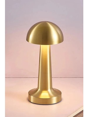 Empressco Renkli Dokunmatik Şarjlı Masa Lambası, Altın Gövde, Dim Edilebilir, Şık ve Kullanışlı