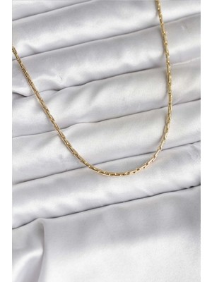 Vice Avm 14K Gold Renk Kaplama İnce Zincir Model CM Kadın Kolye