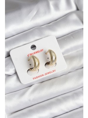 Vice Avm 14K Gold Renk Kaplama CM Kadın Küpe