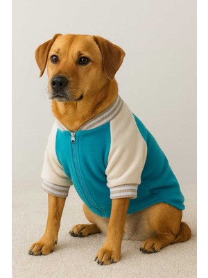 Peti Tailor Kolej Polar Mont Kedi Köpek Kıyafeti