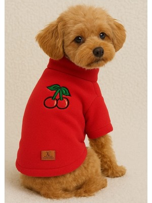 Peti Tailor Polar Sweat Kirazlı Kedi Köpek Kıyafeti