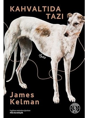 Artemis Yayınları Kahvaltıda Tazı + Sarkaç 1 Kurma Bebek Ciltli Yan Boyamalı + Ev Sırların Gömüldüğü Yerdir