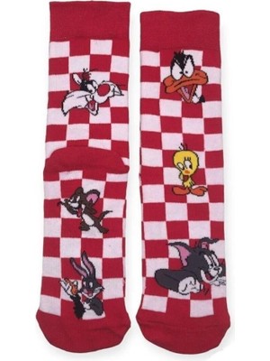 CNS Concept DAFFY TOM TWEETY DAMALI SOKET