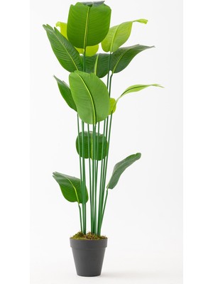 Güleç Yapay Çiçek Yapay Starliçe Ağacı 190 cm 13 Dal