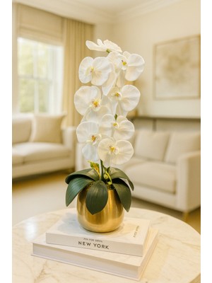 Lüks Cezve Saksı - Beyaz Orkide Aranjman - Metal Saksı Eskitme