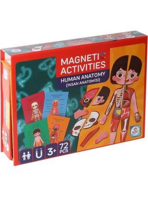 Urfakent LC986MANYETIKAKTIVITEİNSANANATOMISI-