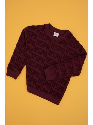 U.S. Polo Assn. Erkek Çocuk Bordo Bisiklet Yaka Sweatshirt 50308515-VR177