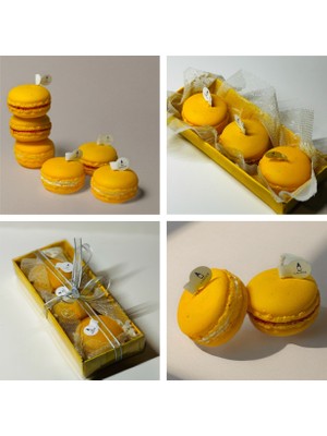 Paris Macaron No:1 Mum