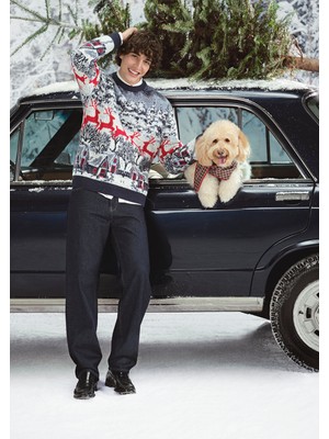 Mavi Geyik Jakarlı Lacivert Kazak 0710407-70490