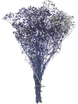 Evsay 1 Demet Doğal Cipso Çiçek Kırmızı ( 18 cm * 40 cm ) ( 50 Gram) Parti Süslemeleri Mor