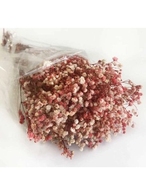 Evsay 1 Demet Doğal Cipso Çiçek Kırmızı ( 18 cm * 40 cm ) ( 50 Gram) Parti Süslemeleri Kırmızı