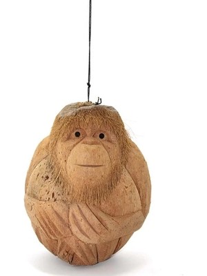 TE Dükkan Coconat Maymun Büstü Model 1