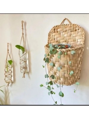 Ss Eral Koop Hasır Kapı Süsü