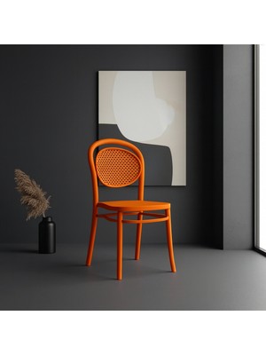 Retro Art Pluto 2'li Plastik Kolsuz Sandalye