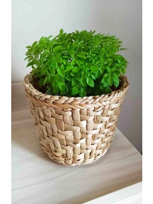 Ss Eral Koop Hasır Saksı Balkon Bahçe Dekorasyonu Modeli Çap 21 cm