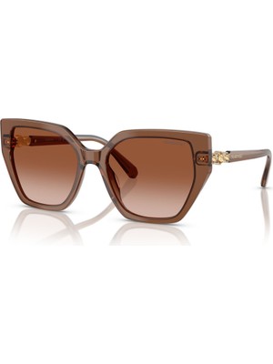 Swarovski Swarovskı 6016 106713 56 Kadın Güneş Gözlüğü