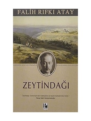 Pozitif Yayınları Zeytindağı + Hizmetçi Serisi (3 Kitaplık Kutulu Set) + Nohut Adam + Babalar ve Oğullar