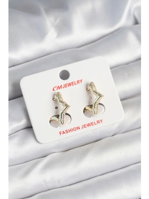 Pirinç Renk Yıldız Kadın Küpe