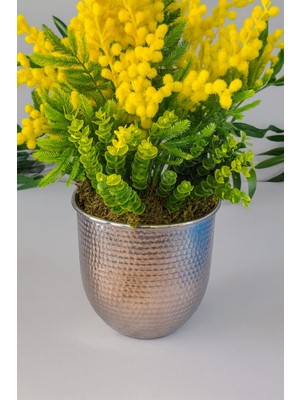 Furya Çiçekçilik Mimoza Esintisi Dekoratif Arajman