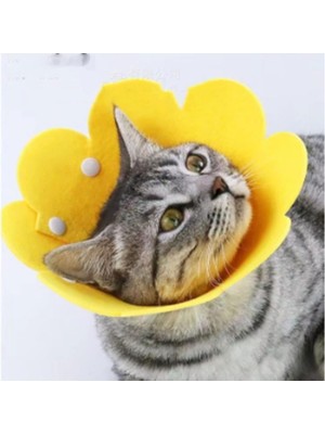 Ttt Evcil Hayvan M Boy Keçe Elizabeth Yakalığı