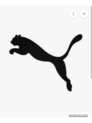 Topuz Motor Cg puma Yapıştırma 2li sticker siyah