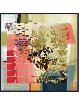 Pierre Cardin  Sura Ipek Eşarp 9107-321