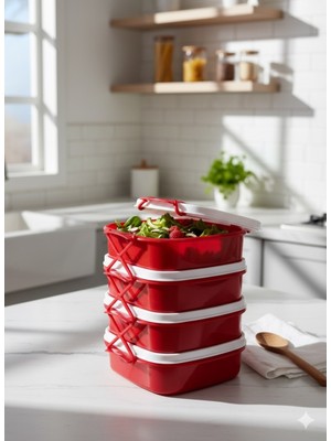 Tetra 4 Katlı Beslenme Kutusu Kilit Mekanizmalı Okul Piknik Işyeri