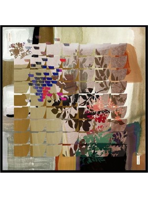 Pierre Cardin  Sura Ipek Eşarp 9107-311