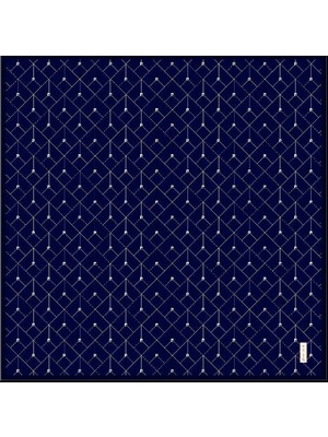 Pierre Cardin  Sura Ipek Eşarp 9097-323