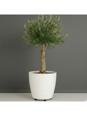 Melkan Home Beyaz Tekerlekli Saksı 48 Litre Büyük Saksı Geniş Hacimli Tekerlekli Saksı Beyaz 45x40 cm