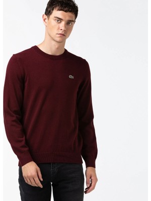 Lacoste Bisiklet Yaka Regular Fit Erkek Triko