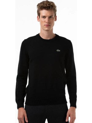 Lacoste Bisiklet Yaka Regular Fit Erkek Triko