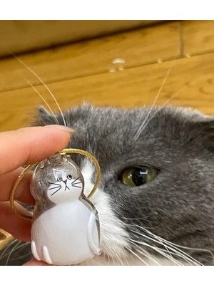 Yaratıcı Sanatlar Atölyesi Şeffaf Kedi Tüyü Saklama Kapsülü Gashapon Kedi Tüyü Anı Hediyesi Kedisever Anahtarlık Aksesuar