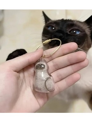 Yaratıcı Sanatlar Atölyesi Şeffaf Kedi Tüyü Saklama Kapsülü Gashapon Kedi Tüyü Anı Hediyesi Kedisever Anahtarlık Aksesuar