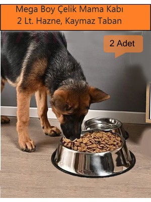 Duffa 2 Adet Büyük Boy Paslanmaz Çelik Mama ve Su Kabı, Kaymaz Alt Taban 33 cm (2000 Ml-67 Oz)